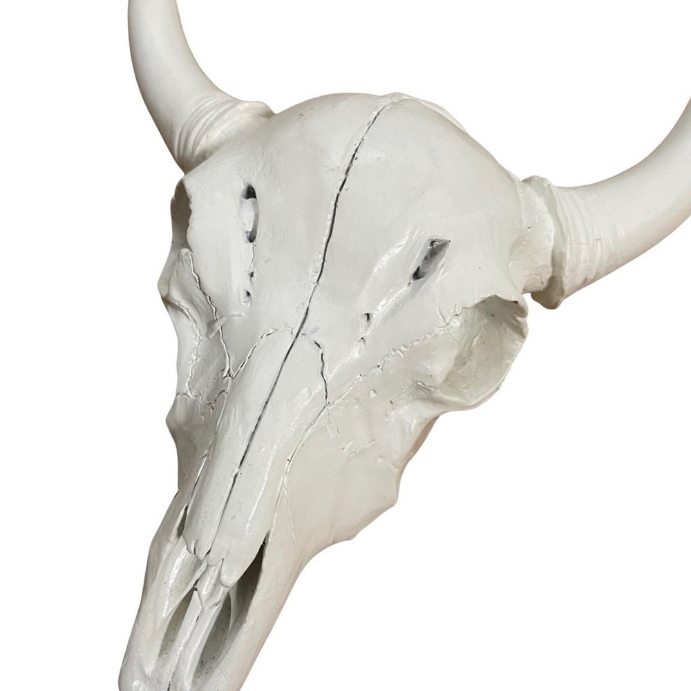 ANIMAL WALL HOME DECOR ACCESSORY HORNS
